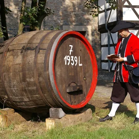 Hotel Kloster-remise 3*