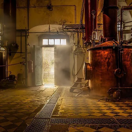 호텔 Kloster-remise